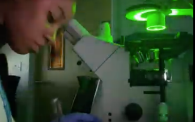 Research and Discovery: Updates from Shannoy’s Lab